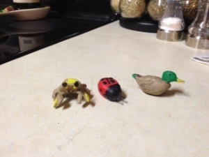 Fiddler crab, ladybug and a mallard duck. 